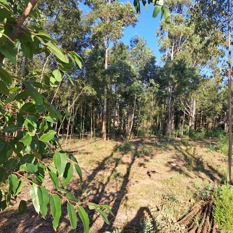 0 Bedroom Property for Sale in Van Stadens Eastern Cape